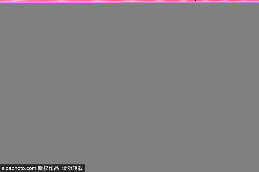 拜仁6-0大胜莱比锡：凯恩帽子戏法闪耀德甲揭幕战